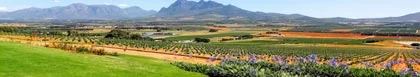 Stellenbosch Verblyf, Cape Winelands & Breede Valley