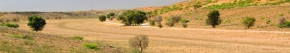 Deben Verblyf, Kalahari & Diamond Fields