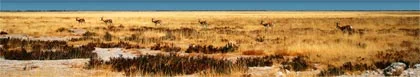Oshakati Selfsorg Akkommodasie accommodation