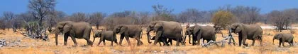 Bagani Verblyf, Kavango