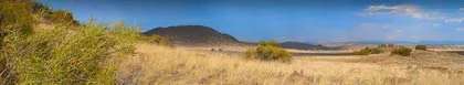 Springfontein Selfsorg Vakansie Woonstelle accommodation