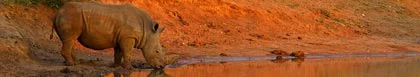 Mokopane Verblyf, Waterberg