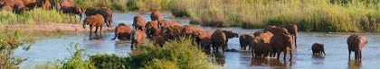 Hoedspruit Distriek Verblyf, Kruger National Park & Mopani