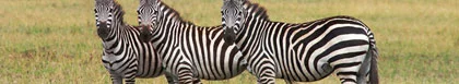 Sabie Verblyf, Mpumalanga