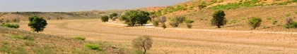 Rhodesdene Verblyf, Kalahari & Diamond Fields