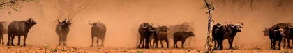 Botswana Visvang Verblyf - Varswater .